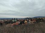 IMG_20260216_142403