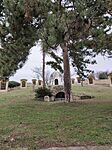 IMG_20260216_142618