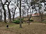 IMG_20260216_145406
