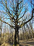 IMG_20260227_152433237_HDR