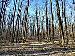 IMG_20260227_151331743_HDR