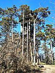 IMG_20260227_115450434_HDR
