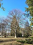 IMG_20260227_100205408_HDR