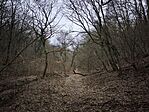IMG_20260131_135239