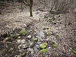 IMG_20260131_135150
