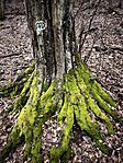 IMG_20260131_135907