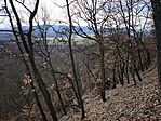 IMG_20260214_123337