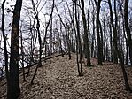 IMG_20260214_122310