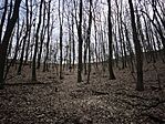 IMG_20260214_121814