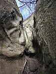 IMG_20260214_114646