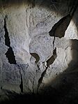 20260215_141616