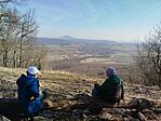 IMG_20260228_132339