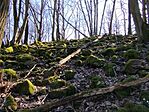 IMG_20260228_132059