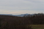 IMG_20260214_155214_5022