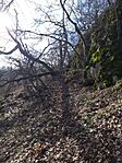 20260214_133952.jpg