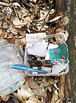 IMG_20260214_140631