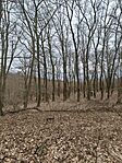 IMG_20260215_113345