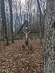 IMG_20260215_115451