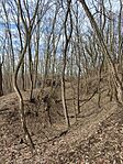 IMG_20260215_125118