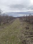 IMG_20260215_122255