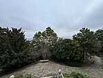 IMG_2808