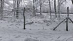 IMG_20260201_141614