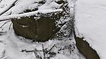 IMG_20260201_141638