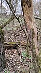 IMG_20260321_104652616
