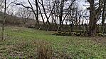 IMG_20260321_104723442