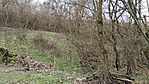 IMG_20260321_104743490_HDR