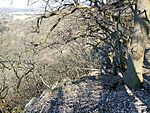 IMG_20260319_090351963_MFNR