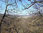 IMG_20260319_090433255_MFNR