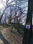 IMG_20260319_090546930_MFNR