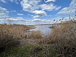 IMG_2279