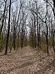 IMG_2352