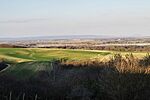 IMG_20260313_170232