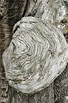 IMG_20260313_150354