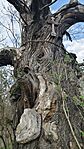 IMG_20260313_150406