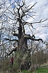 IMG_20260313_150452