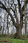 IMG_20260321_080817