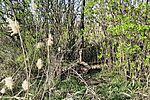 IMG_20260323_145440