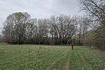 IMG_20260323_111436