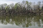 A Tisza mentén