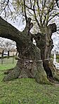IMG_20260329_133101