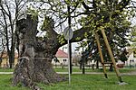 IMG_20260329_133420