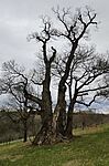 IMG_20260329_182854