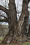 IMG_20260329_183054