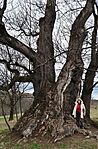 IMG_20260329_183140