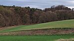IMG_20260329_184239