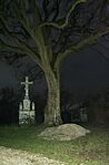 IMG_20260329_202215